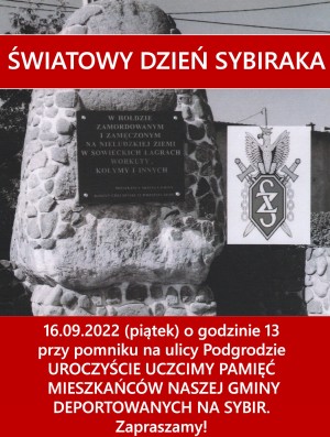 obrazek plik 1633
