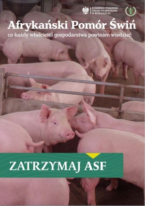 obrazek plik 2276