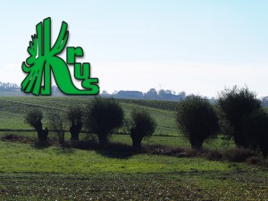 obrazek plik 2259