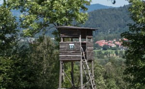 obrazek plik 1623