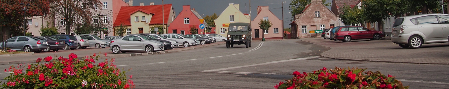 Gmina Radzyń Chełmiński